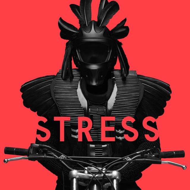 Album cover art for Stress