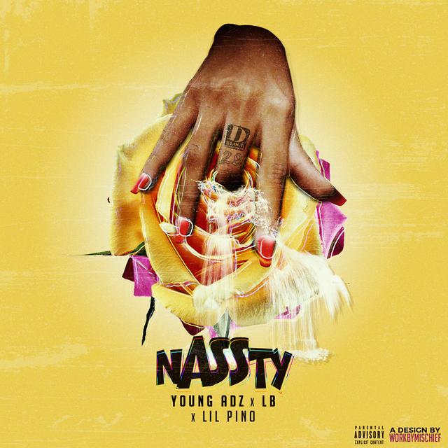 Album cover art for nASSty