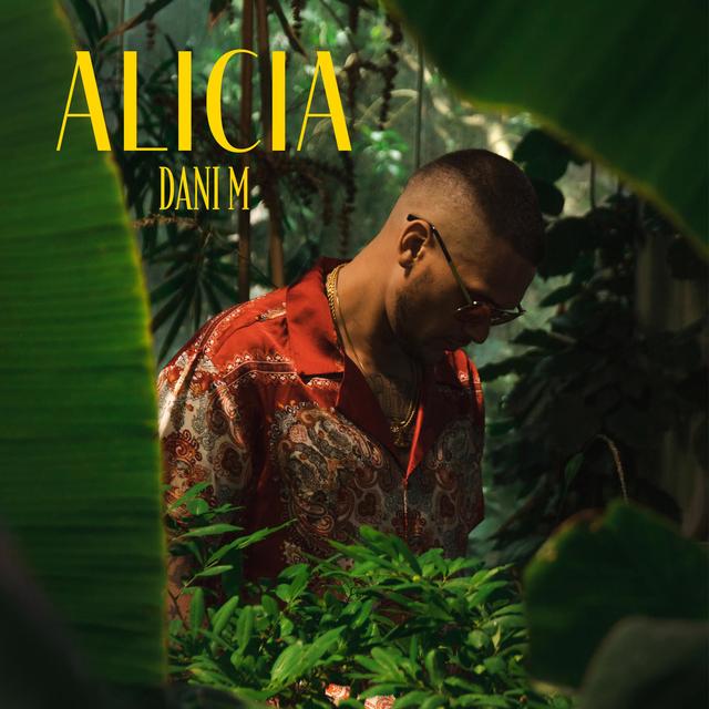 Album cover art for Alicia