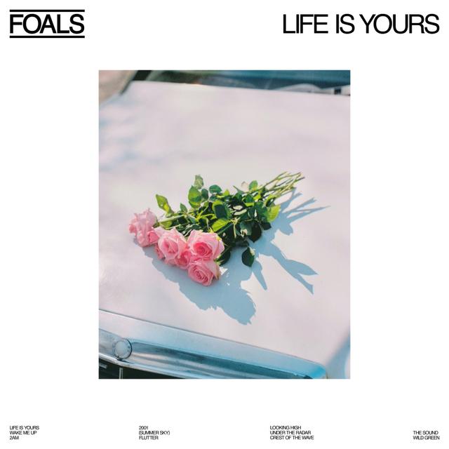 Album cover art for Life Is Yours