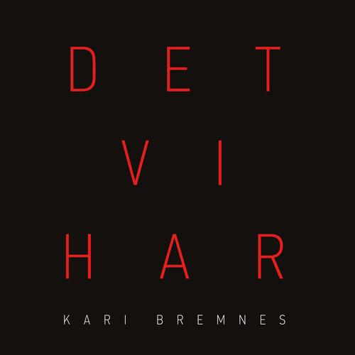 Album cover art for Det Vi Har