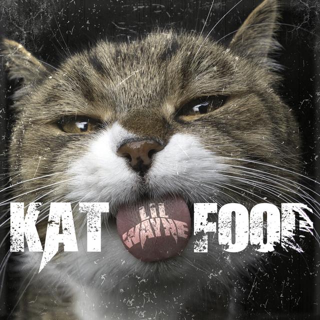 Album cover art for Kat Food