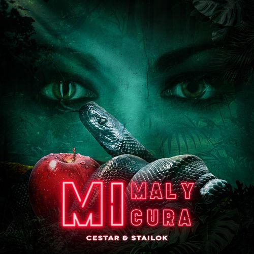 Album cover art for Mi Mal y Mi Cura