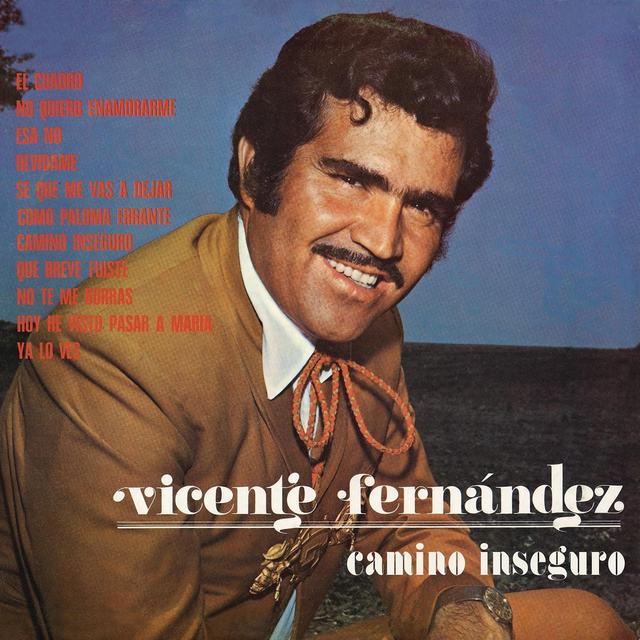 Album cover art for Camino Inseguro