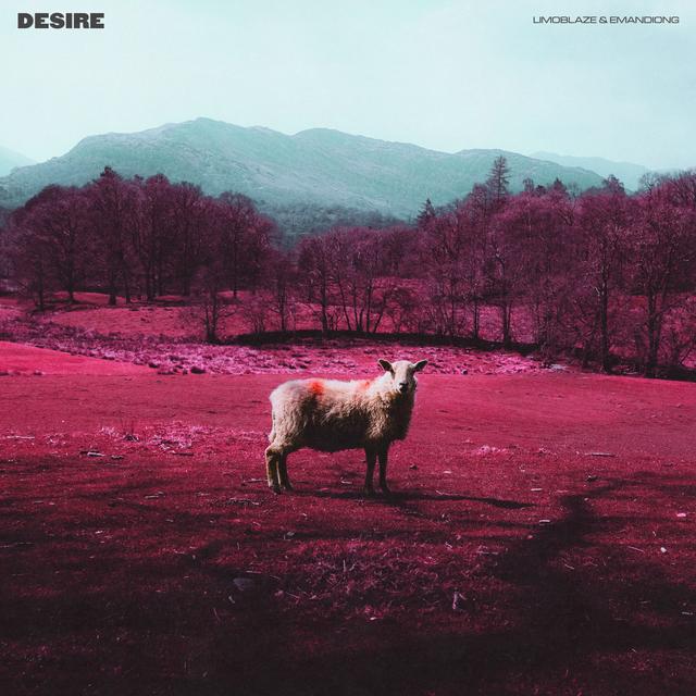 Album cover art for Desire