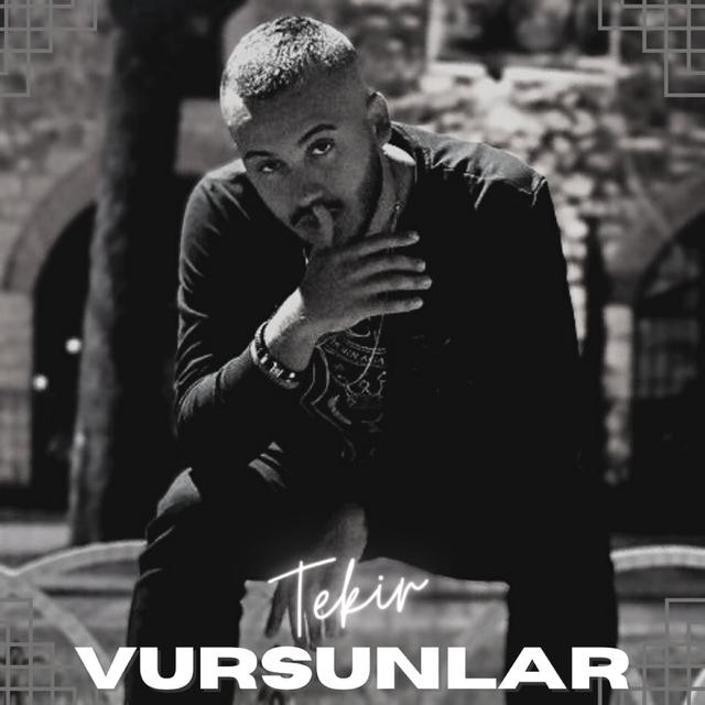 Album cover art for Vursunlar