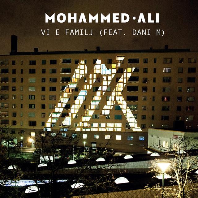 Album cover art for Vi e familj