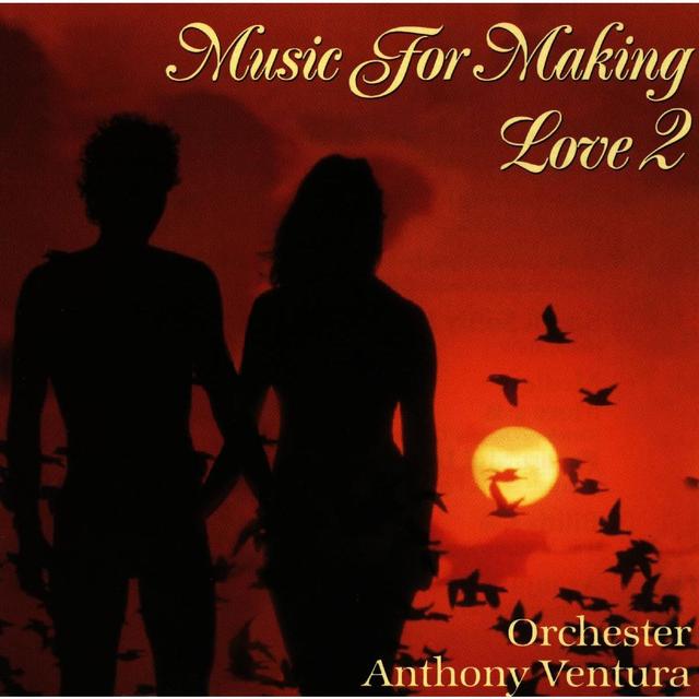 Album cover art for Music For Making Love II