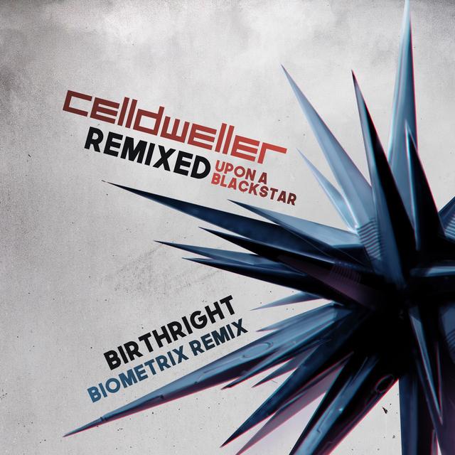 Album cover art for Birthright (Biometrix remix)