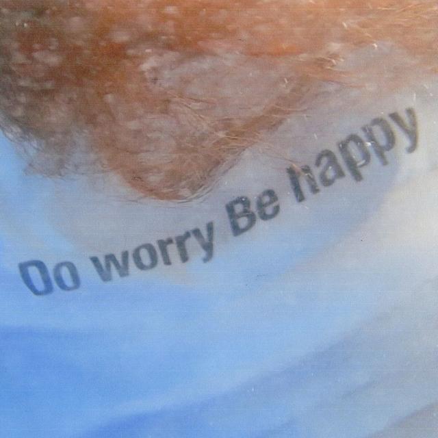 Album cover art for Do worry Be happy