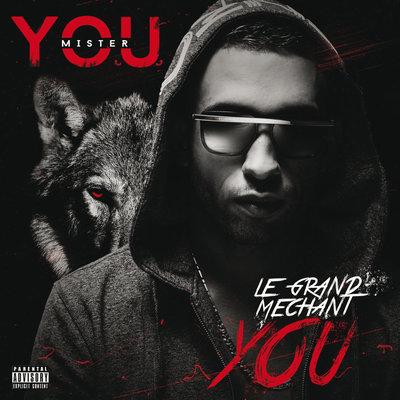 Album cover art for Le Grand Méchant You