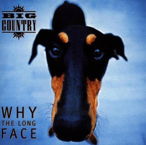 Album cover art for Why The Long Face