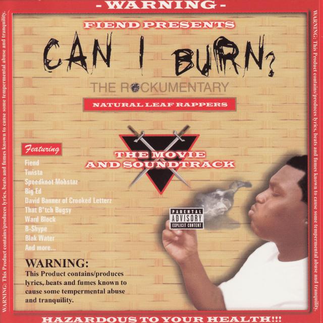 Album cover art for Can I Burn?