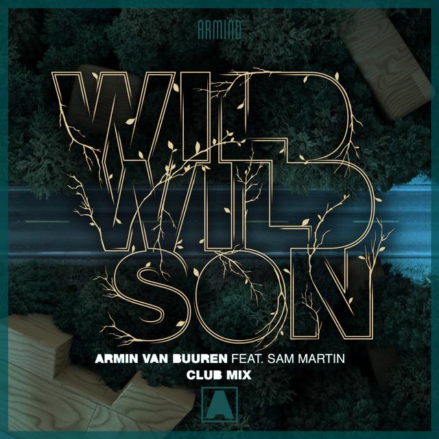 Album cover art for Wild Wild Son (Club Mix)