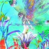 Album cover art for L'ange de me´tamorphose