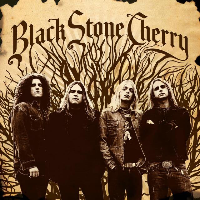 Album cover art for Black Stone Cherry