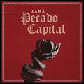 Album cover art for Pecado Capital