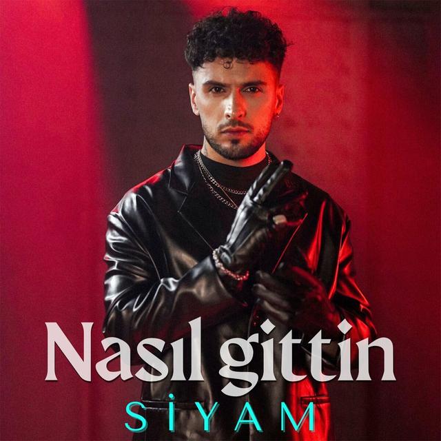 Album cover art for Nasıl Gittin