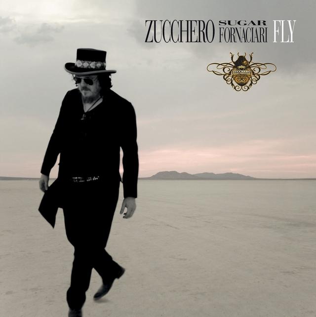 Album cover art for Fly