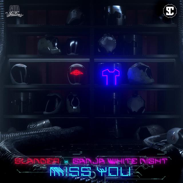 Album cover art for Miss You