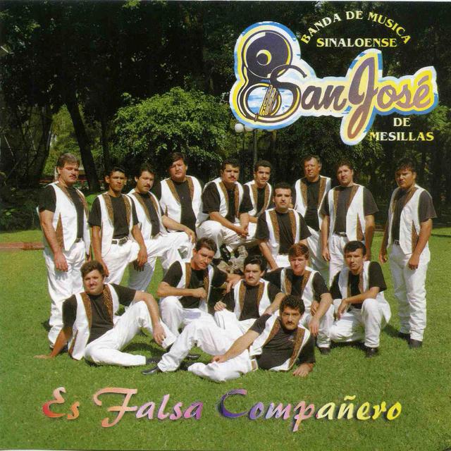 Album cover art for Es Falsa Compañero