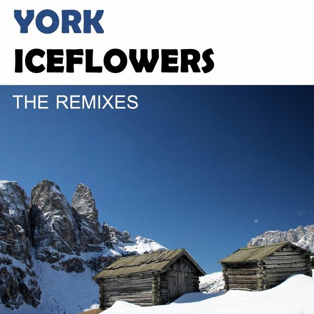 Album cover art for Iceflowers