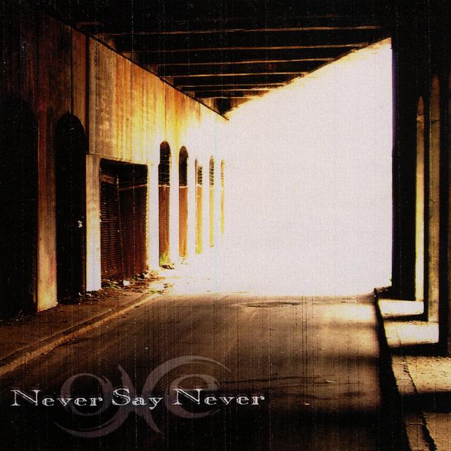 Album cover art for Never Say Never