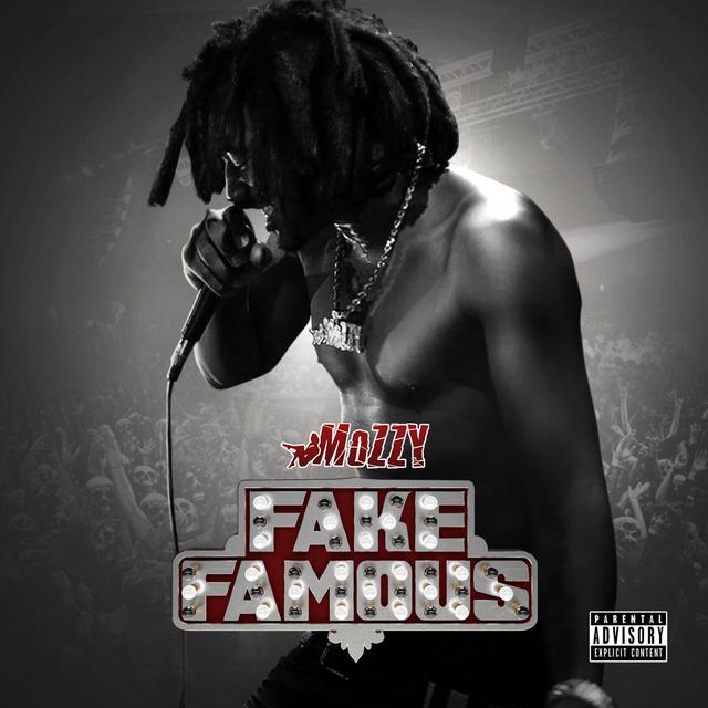 Album cover art for Fake Famous