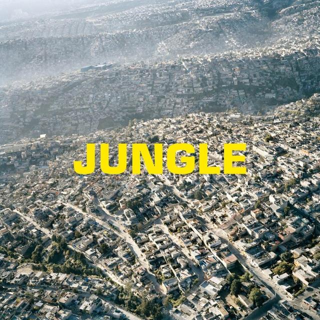 Album cover art for JUNGLE