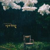 Album cover art for Spring