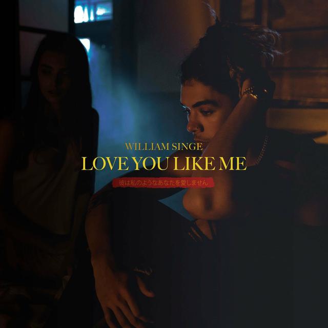 Album cover art for Love You Like Me