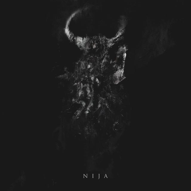 Album cover art for Nija