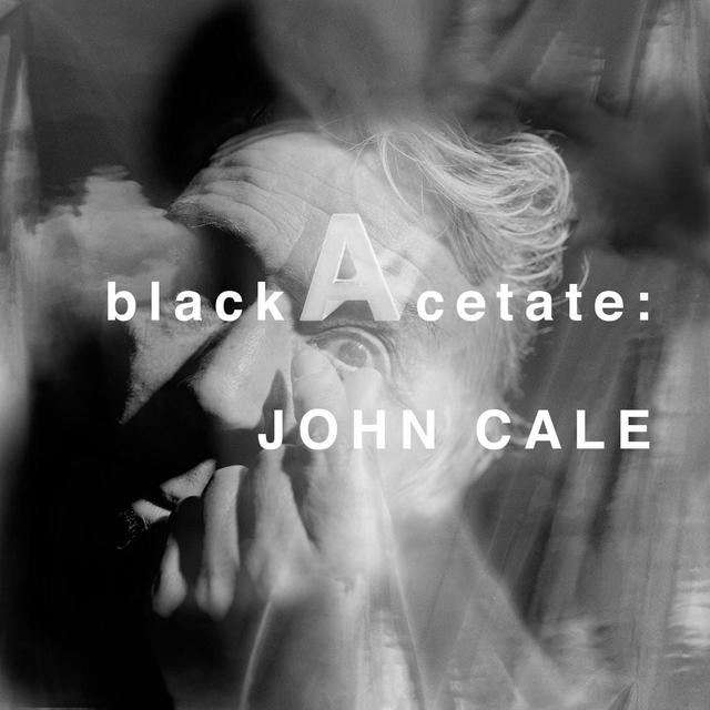 Album cover art for Black Acetate