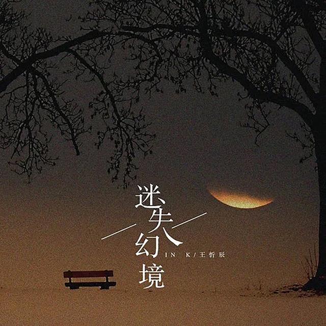 Album cover art for 迷失幻境 (DJ版)