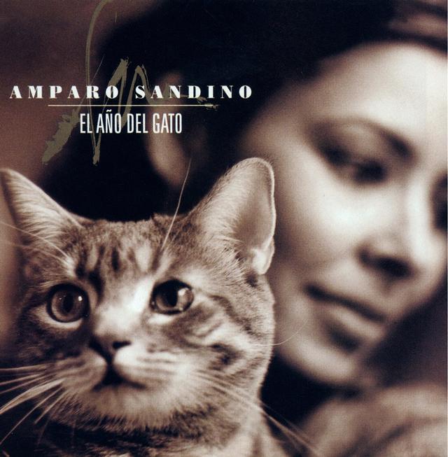 Album cover art for El Año del Gato