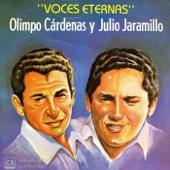 Album cover art for Voces Eternas