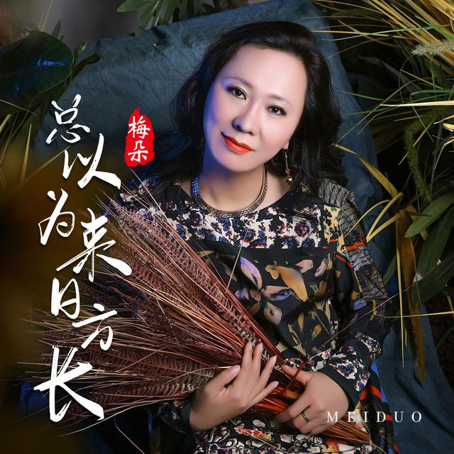 Album cover art for 总以为来日方长