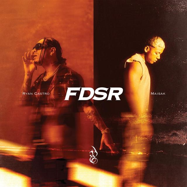 Album cover art for FDSR