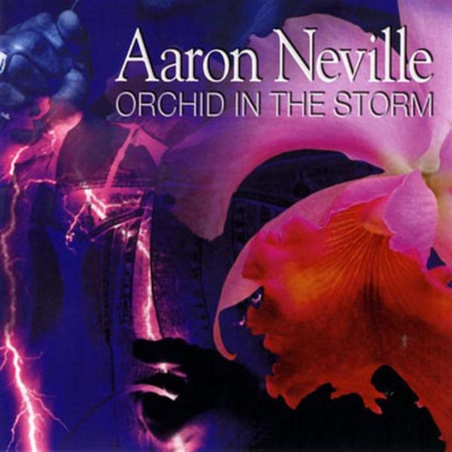 Album cover art for Orchid In The Storm