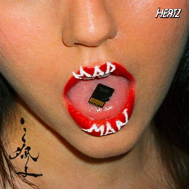 Album cover art for 瘋子