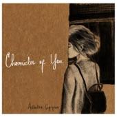 Album cover art for Chronicles of You