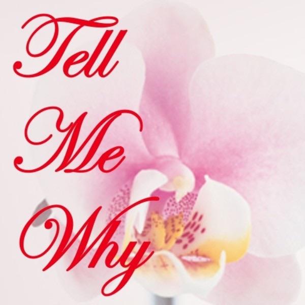 Album cover art for Tell Me Why