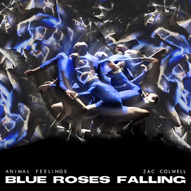 Album cover art for Blue Roses Falling