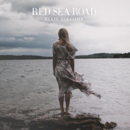 Album cover art for Red Sea Road