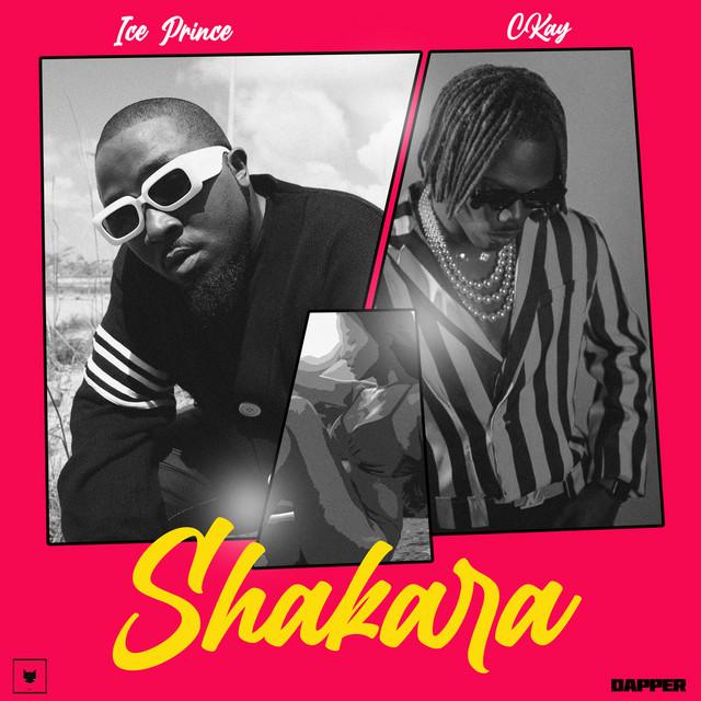 Album cover art for Shakara