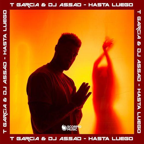 Album cover art for Hasta Luego