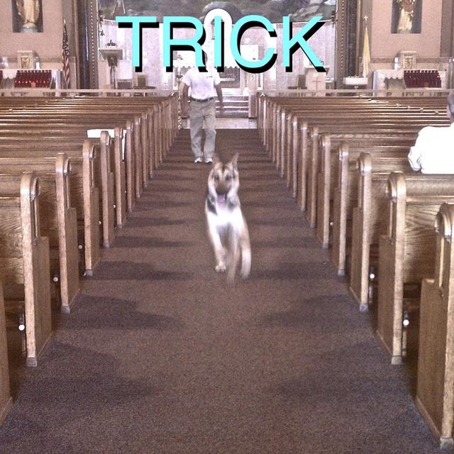 Album cover art for Trick