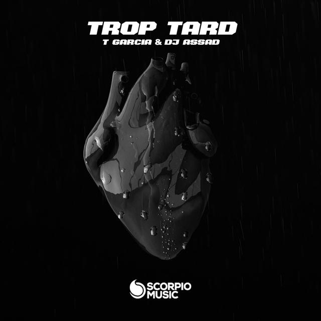 Album cover art for Trop Tard - Single