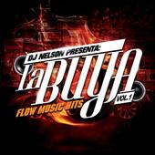 Album cover art for DJ Nelson Presenta : La Buya, Vol. 1