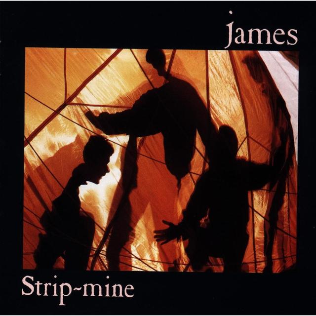 Album cover art for Strip-Mine